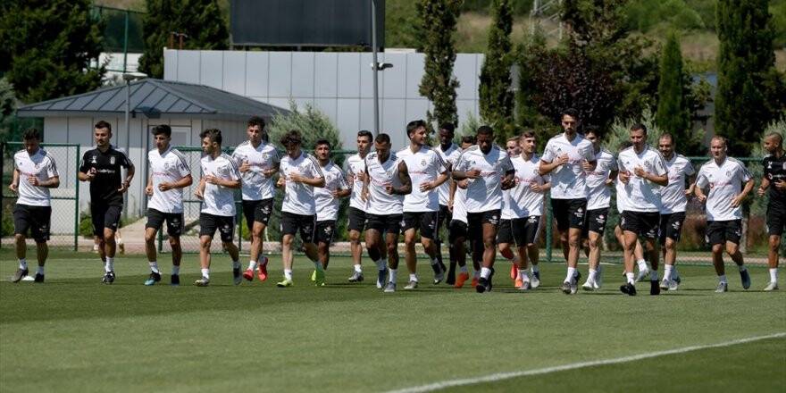 Beşiktaş Avusturya Yolcusu