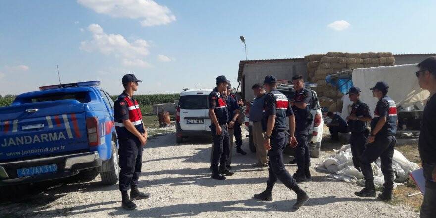 Karapınar'da 550 Kök Hint Keneviri Bitkisi Ele Geçirildi
