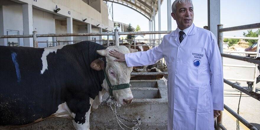 Tbmm Tarım Orman Ve Köyişleri Komisyonu Başkanı Kılıç: Kurbanlık Hayvan İthal Etmedik