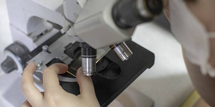 Türk Bilim İnsanları 4 Ölümcül Virüs Buldu