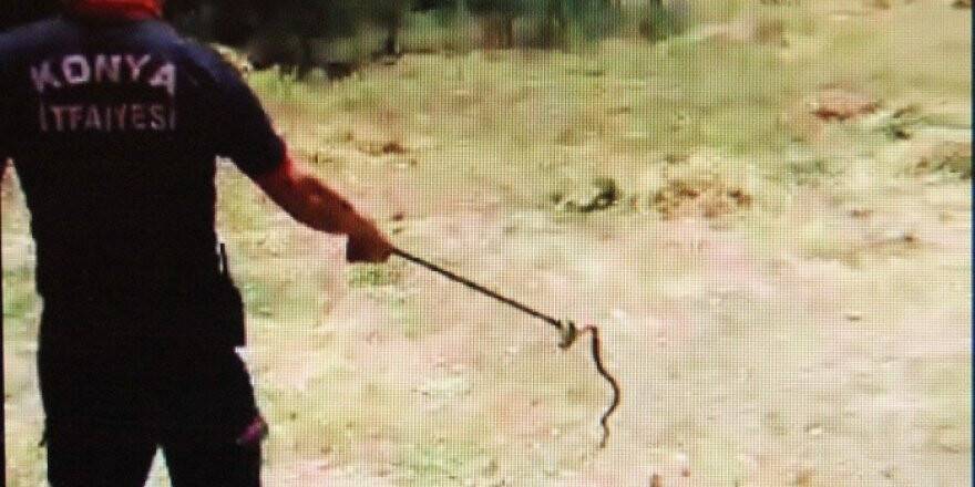 Konya'da Eve Giren Yılanı İtfaiye Ekipleri Çıkardı