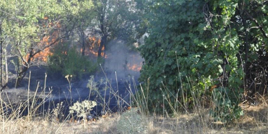 Seydişehir'de Meyve Bahçesinde Yangın