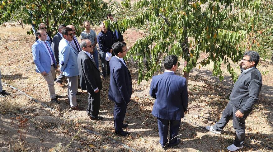 Taşkent'te "Tarla Günü" Etkinliği Düzenlendi