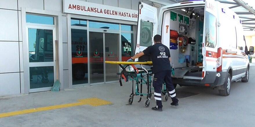 Ceviz Hasadı Nedeniyle Hastanelere Gelen Düşme Vakası Arttı