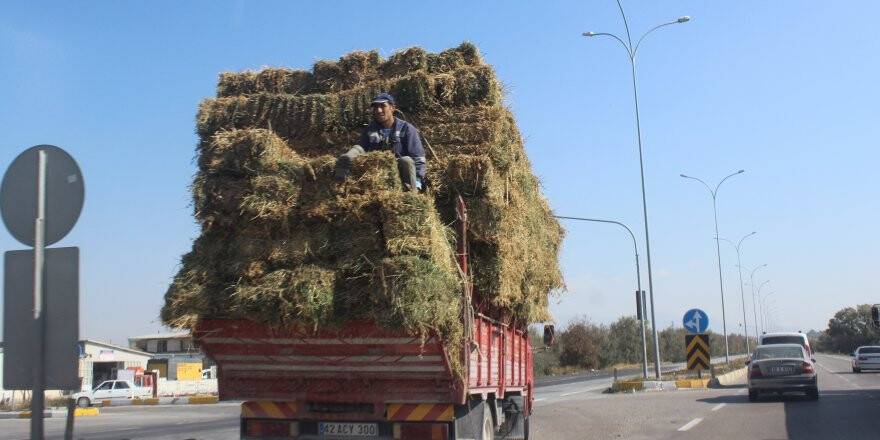 Balya Üzerinde Tehlikeli Yolculuk