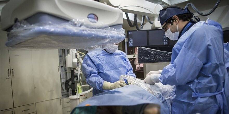 Türkiye'de 7 Bin 767 Organ Ve Doku Nakli Yapıldı