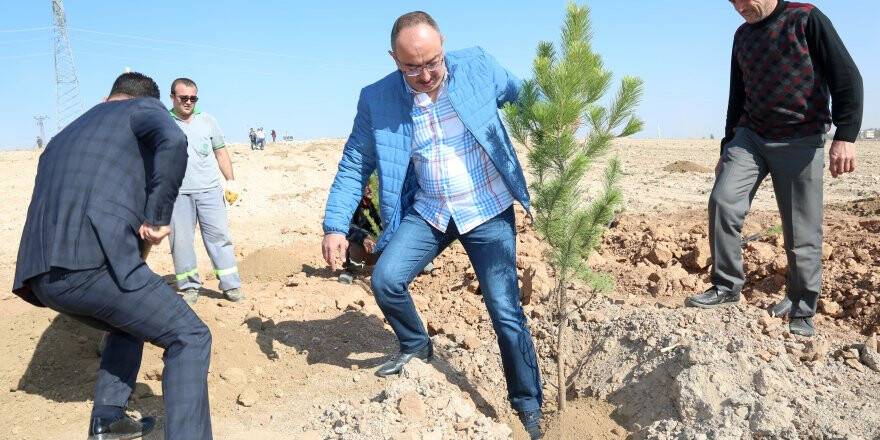MERAM’DA HER DOĞAN İÇİN BİR FİDAN