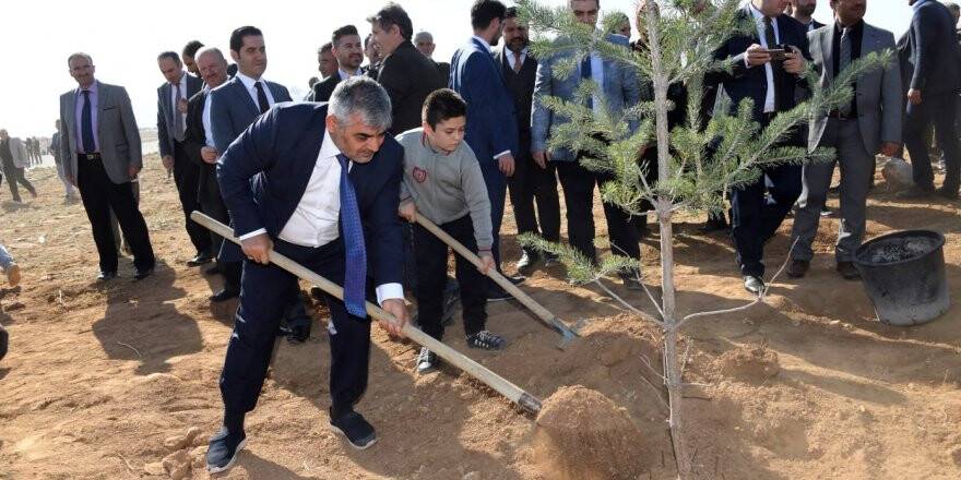 KOSKİ’den “Geleceğe Nefes” için 42 bin fidan