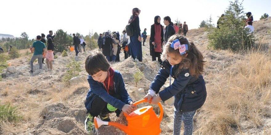 NEÜ Köyceğiz ve Seydişehir Yerleşkesinde binlerce fidan toprakla buluştu