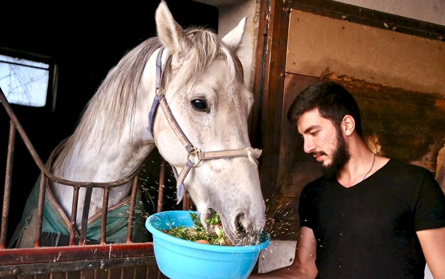 Şampiyon Atlara "Ballı Muzlu" Menü