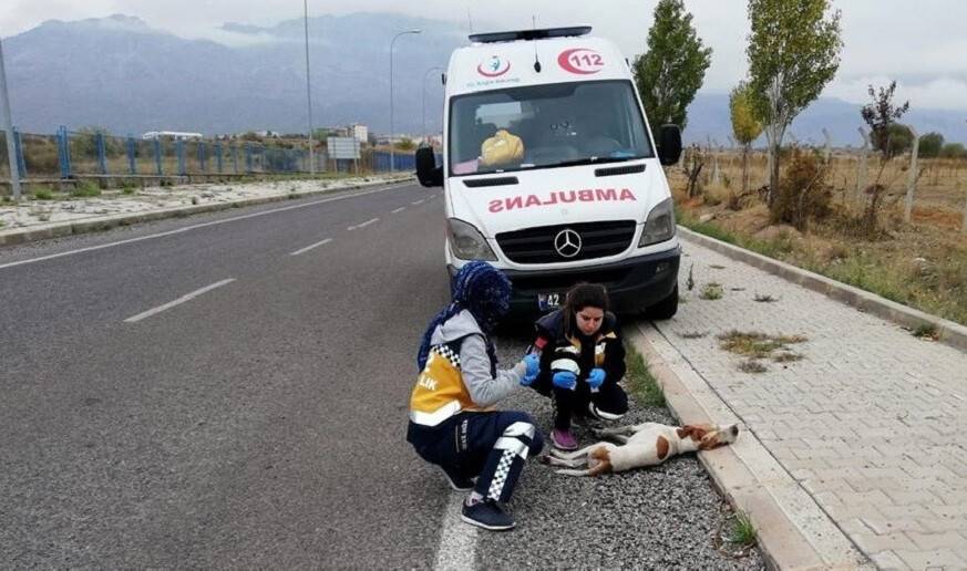 Konya'da 112 çalışanları 'Paşa' için gözyaşı döktü