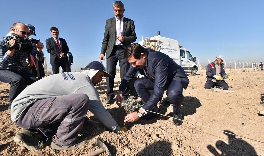 Başkan Kılca: "Lavanta bahçemiz, turistlerin yeni gözde mekanı olacak"