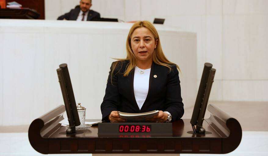 MHP Milletvekili Esin Kara, mali reform istedi