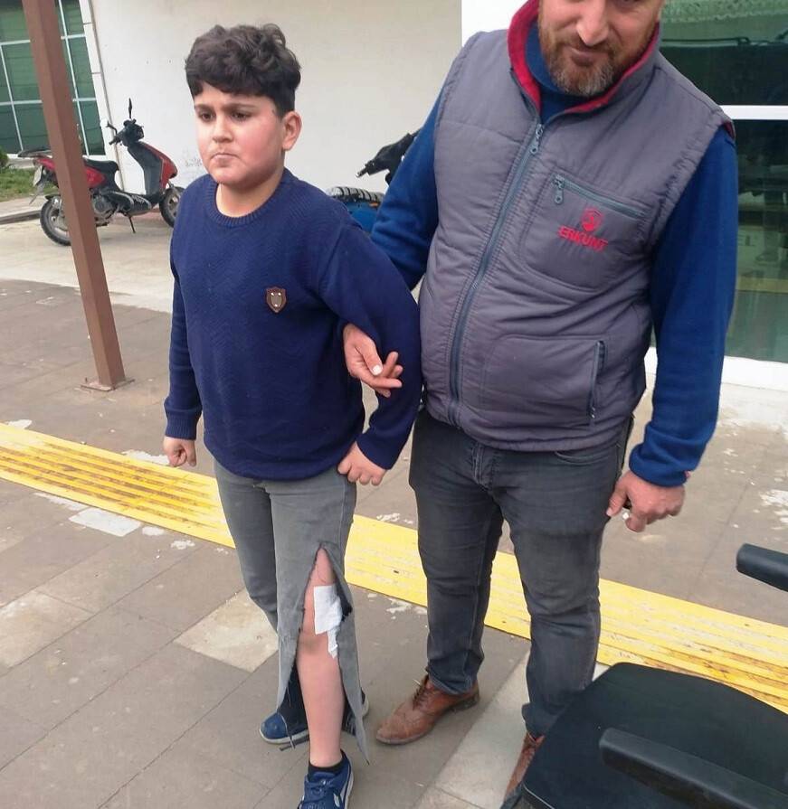 Sokak köpeğinin ısırdığı çocuk hastanelik oldu