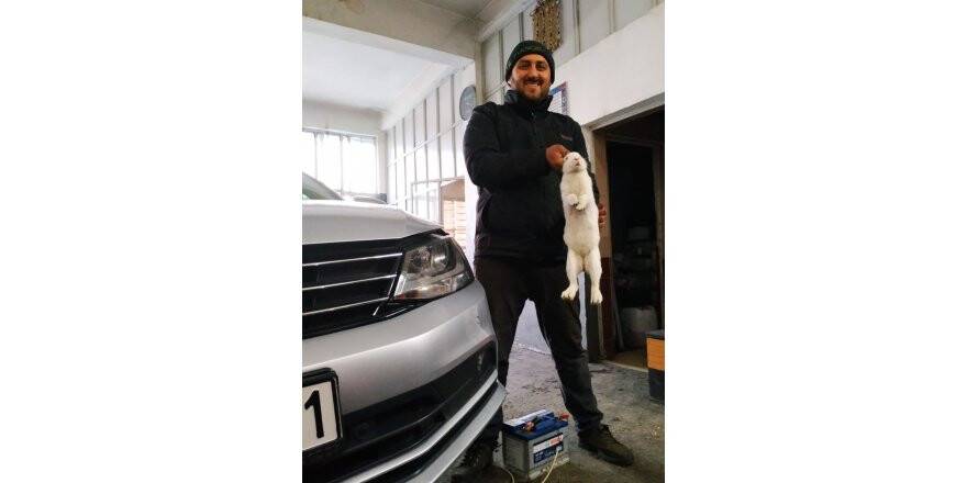 Otomobilin motorundan tavşan çıktı!