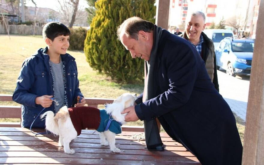 Ereğli Belediyesi sokak hayvanlarına kucak açıyor