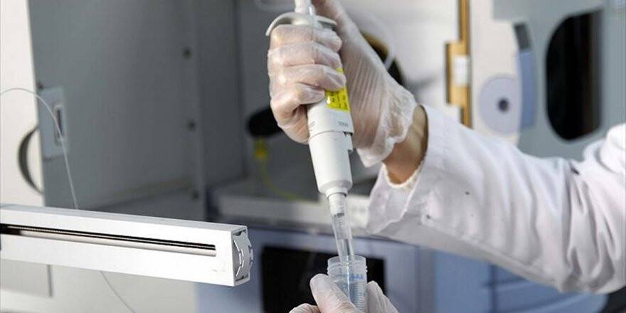 Gaziantep'te Bir Hastanın H1n1 Virüsü Taşıdığı Şüphesine İlişkin Açıklama