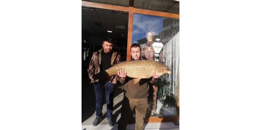 Konya Seydişehir Taraşcı Barajı'nda 15 Kiloluk Sazan Yakalandı