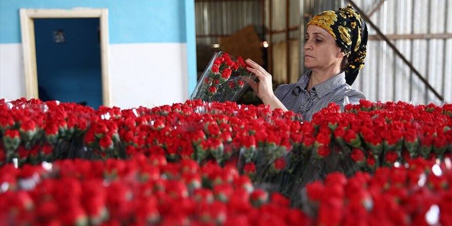 Çiçek Sektörü İhracatta Rekor Kırdı