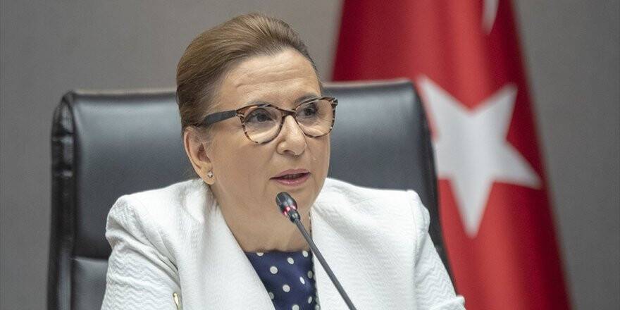 Bakan Pekcan: İhracatçıların Hususi Pasaport Süresi 4 Yıla Çıkarıldı