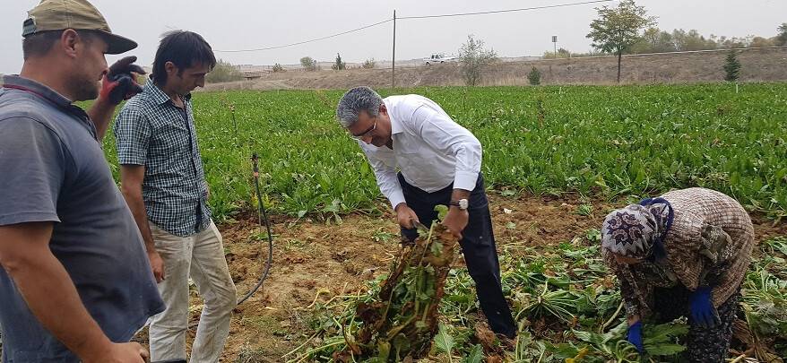 Konya Şeker'den üreticiye 34 milyon 410 bin lira avans