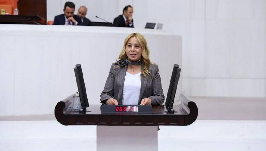 MHP’li Esin Kara’dan Bakan Pakdemirli’ye soru önergesi