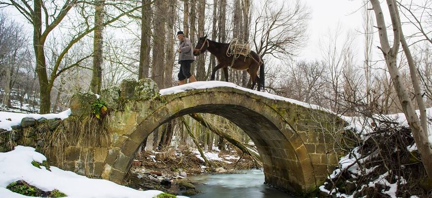 ‘Meram’da kış’ fotoğraf yarışması başladı