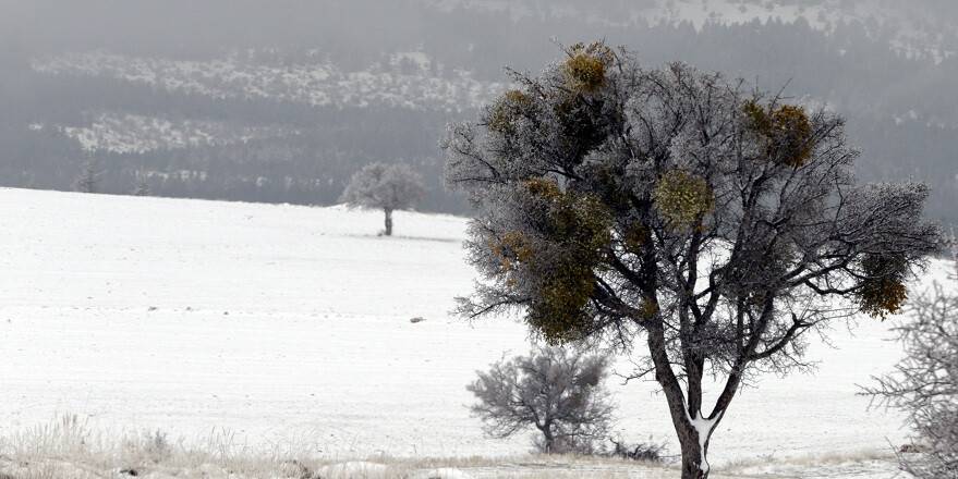Konya'nın yüksek kesimlerinde kar yağışı etkili oldu