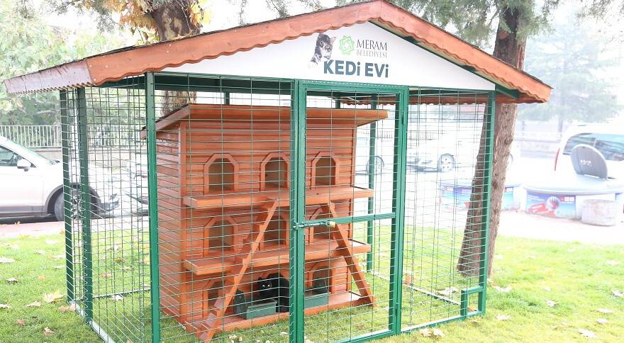 Meram Belediyesi, Sokak Hayvanları İçin Çalışmalarını Hızlandırdı