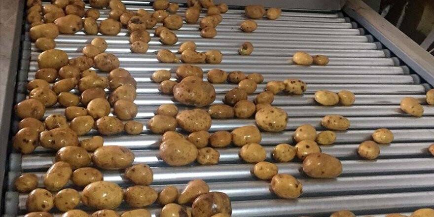 Kuru soğan ve patates ihracatı ön izne bağlandı