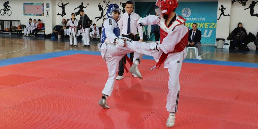 Taekwondoda  Analig takımı belli oldu