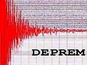 ABD'de Orta Şiddette Deprem
