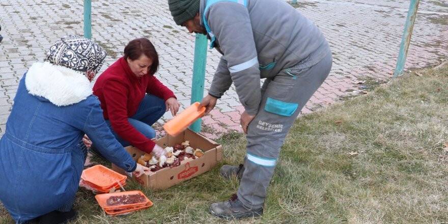 Beyşehir'de Sokak Hayvanları İçin Beslenme Alanlarına Yiyecek Bırakıldı