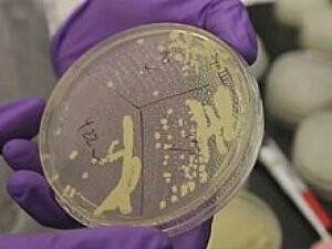 Bilim Adamları Öyle Bir Şey Üretti ki!