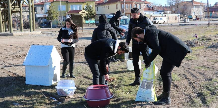 Sokak hayvanlarına “sıcak bir yuva” projesi