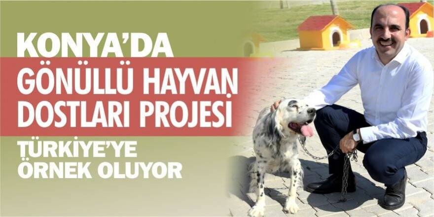 Konya'da “Gönüllü Hayvan Dostları Projesi” Türkiye’ye örnek oluyor
