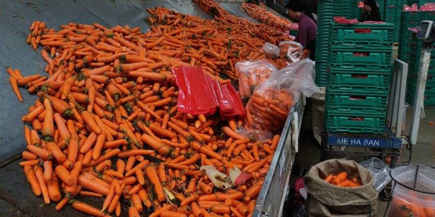 Havucun merkezi Konya’da yaz kış mesai devam ediyor
