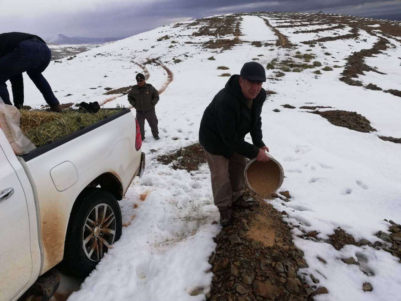 Yaban hayvanları için Loras’a yem bıraktılar