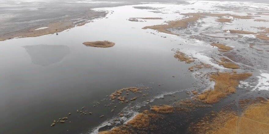 Ereğli Akgöl'de kuş sayımı