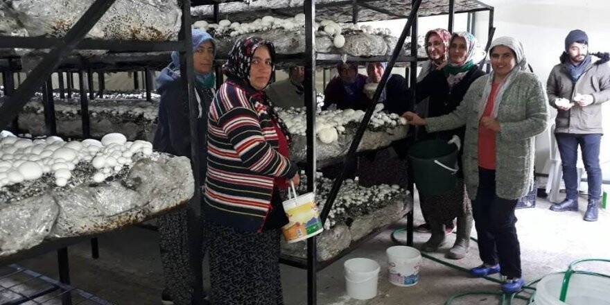 Ereğli’den girişimcilere destek