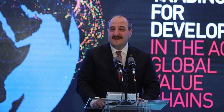 Bakan Varank: Bu Sene Yatırımlarla Sağlıklı Büyüme Yılı Olacak