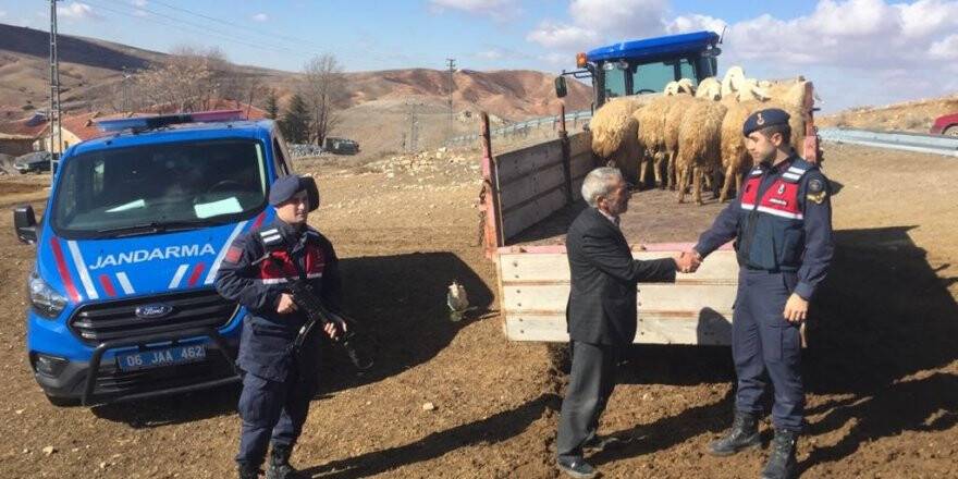Ankara’da çalınan koyunlar KONYA’DA BULUNDU