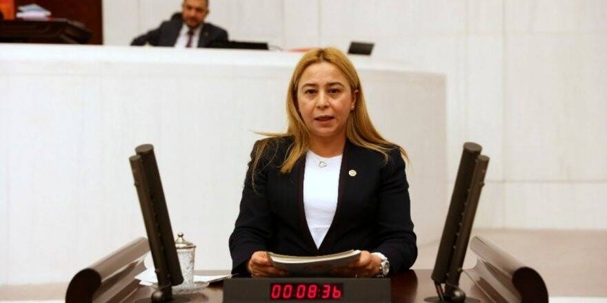 Kara Yunak’taki tarımsal sorunları gündeme getirdi
