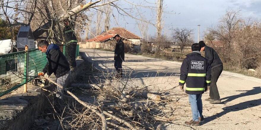 Şiddetli rüzgar direk ve ağaları devirdi
