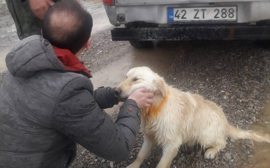 BELEDİYE EKİPLERİ SUDA MAHSUR KALAN KÖPEĞİ KURTARDI