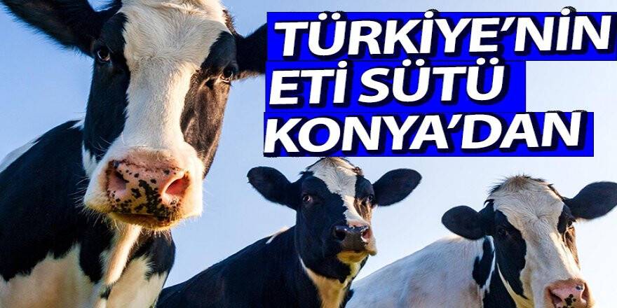 TÜRKİYE’NİN ETİ SÜTÜ KONYA’DAN