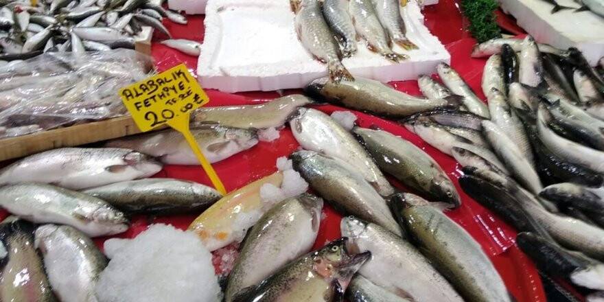 Konya'da Üreme Dönemindeki Balıkları Satan İşletmelere Ceza Verildi