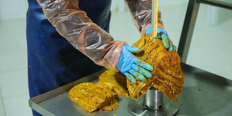 Avrupa'ya Balık Döner İhraç Edilecek