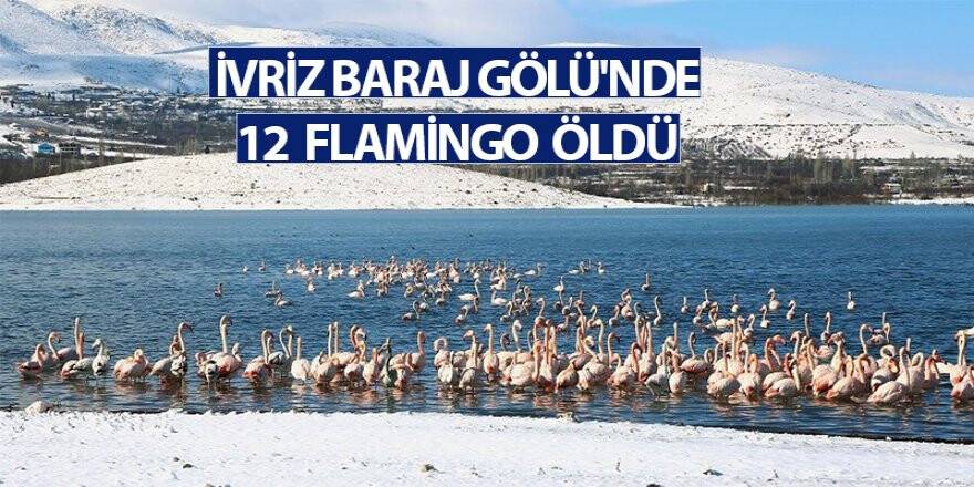 İvriz Baraj Gölü'nde 12 Flamingo Öldü