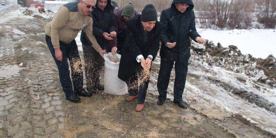 Akşehir’de yabani hayvanlar için doğaya yem bırakıldı